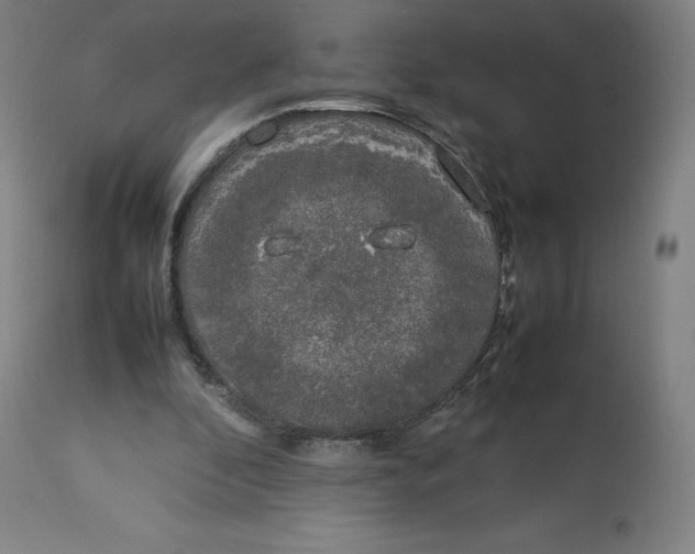 X0000112750296200909171233