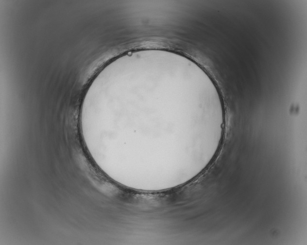 X0000112750297200909171233