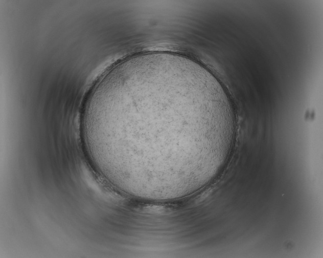 X0000112750298200909171233