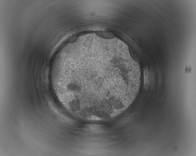 X0000112750300200909171233