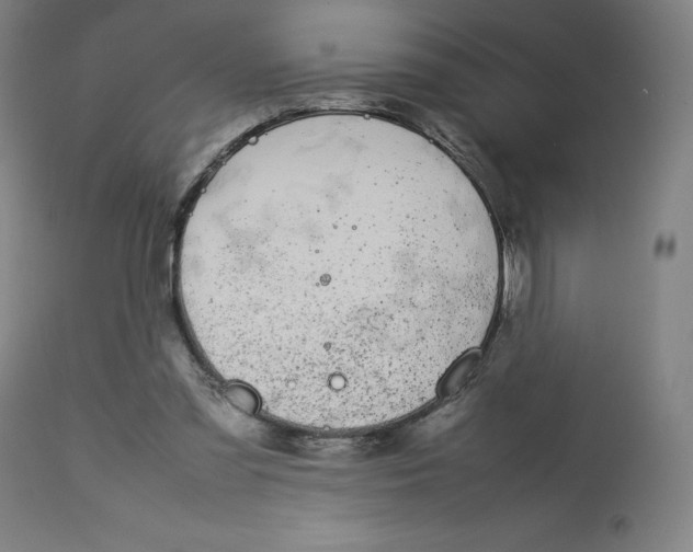 X0000112750301200909171233