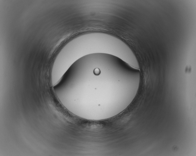 X0000112750304200909171233