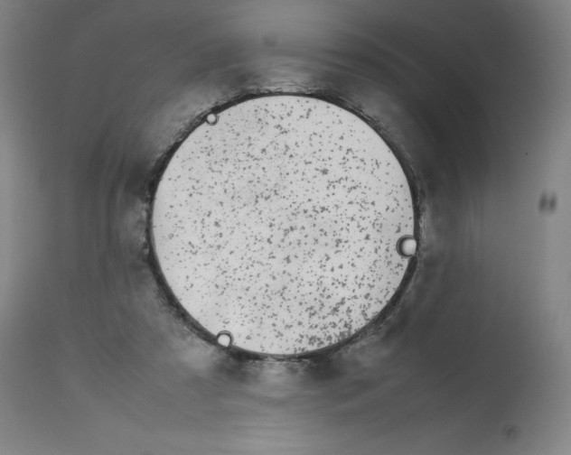 X0000112750305200909171233