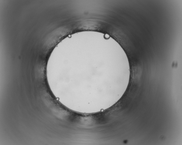 X0000112750309200909171233