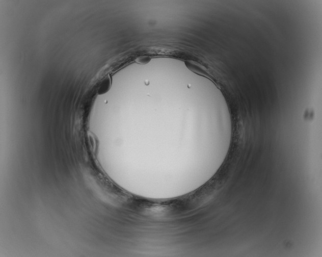 X0000112750312200909171232