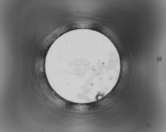 X0000112750313200909171232