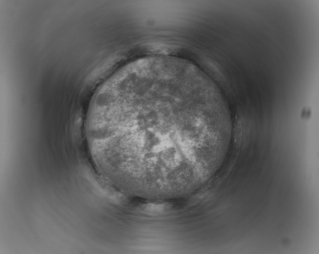 X0000112750314200909171232