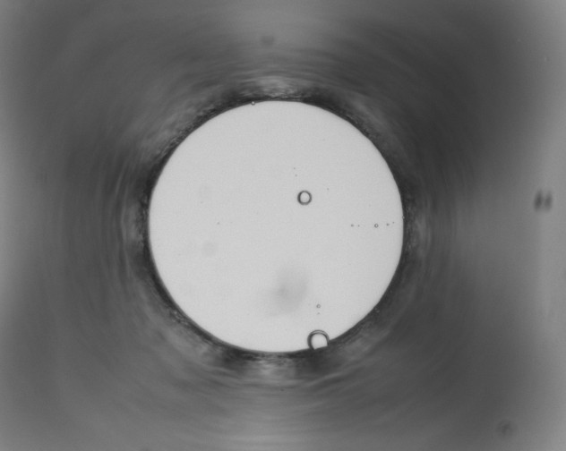 X0000112750317200909171232