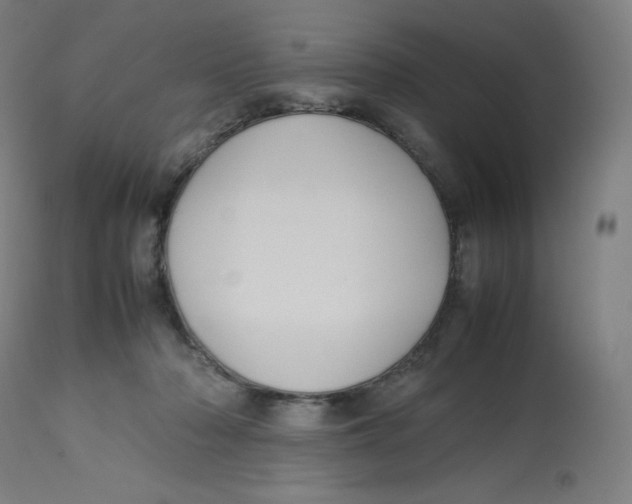 X0000112750318200909171232