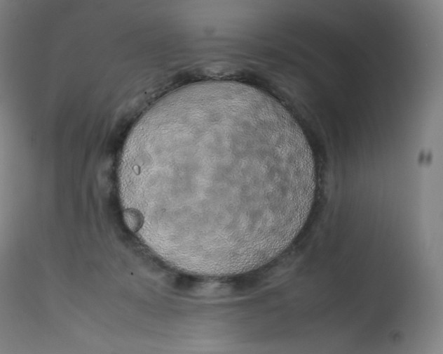 X0000112750319200909171232