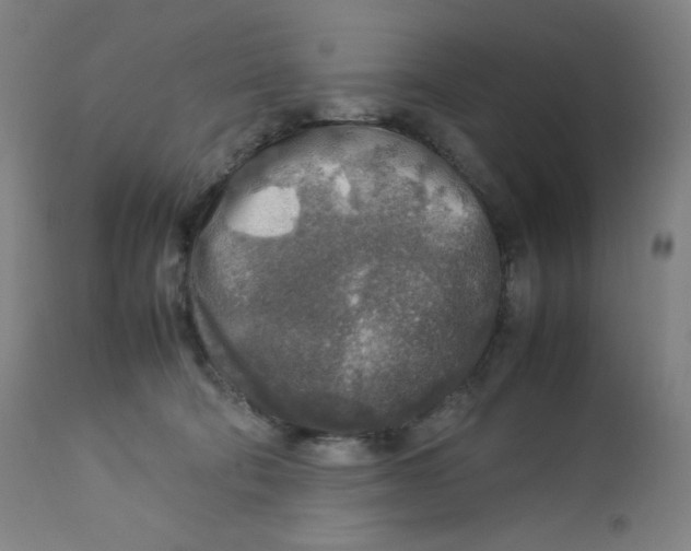 X0000112750322200909171232