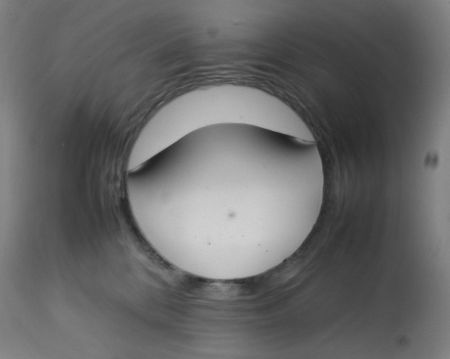 X0000112750328200909171232