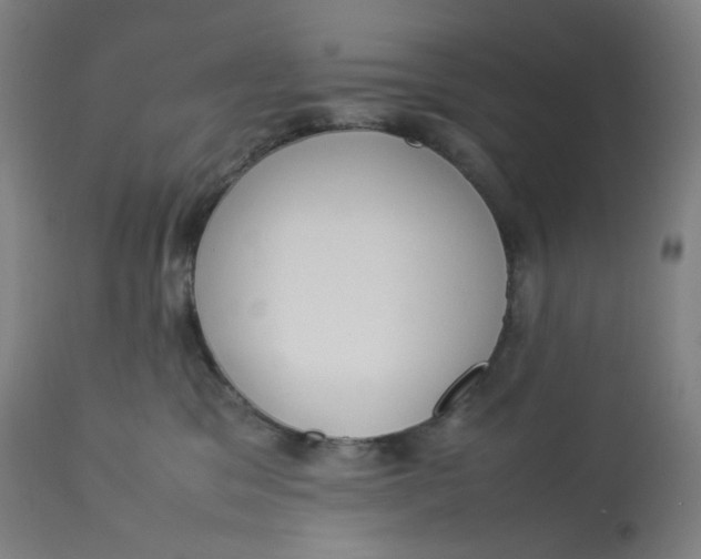 X0000112750329200909171232