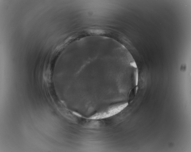 X0000112750330200909171232