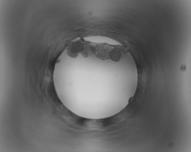 X0000112750331200909171232