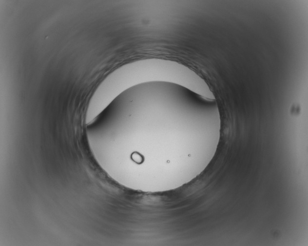 X0000112750332200909171232