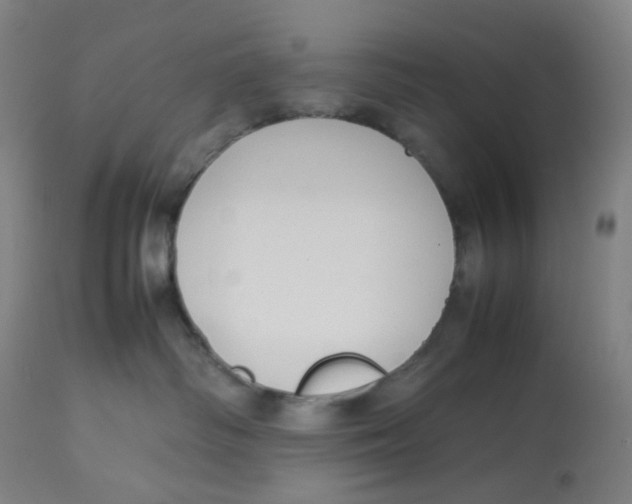 X0000112750334200909171232