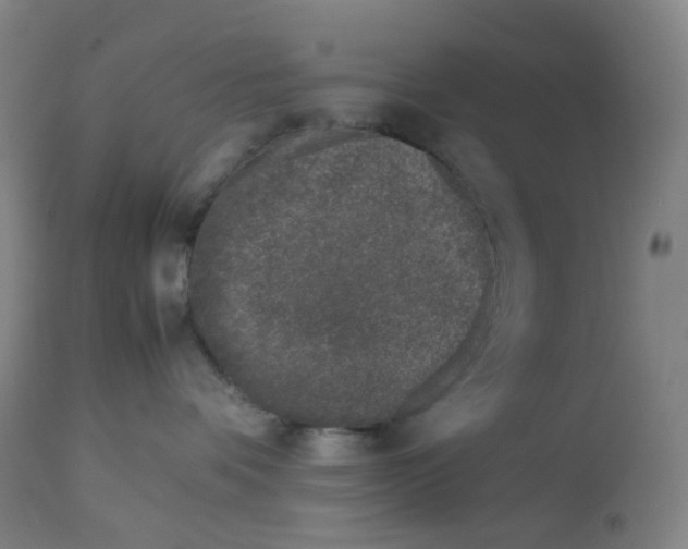 X0000112750336200909171232