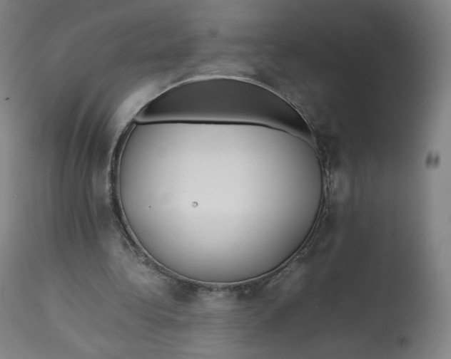 X0000112750340200909171231