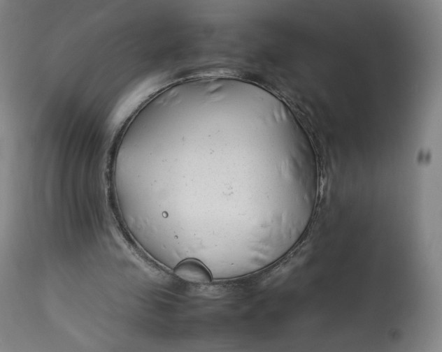 X0000112750341200909171231