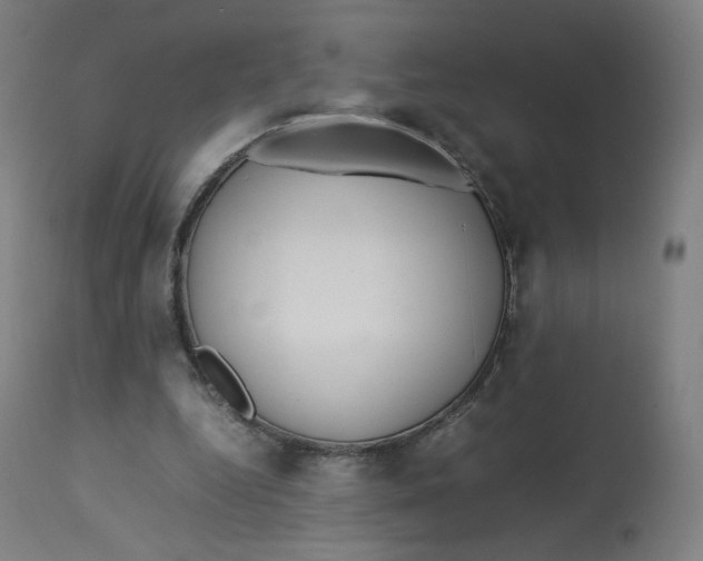 X0000112750344200909171231