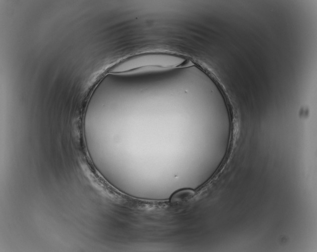 X0000112750345200909171231