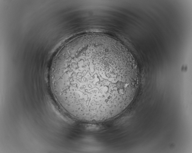 X0000112750347200909171231