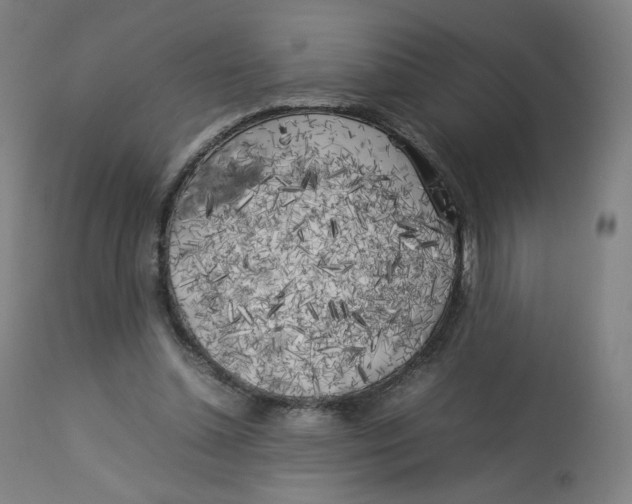 X0000112750348200909171231