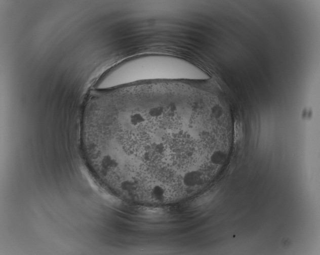 X0000112750349200909171231