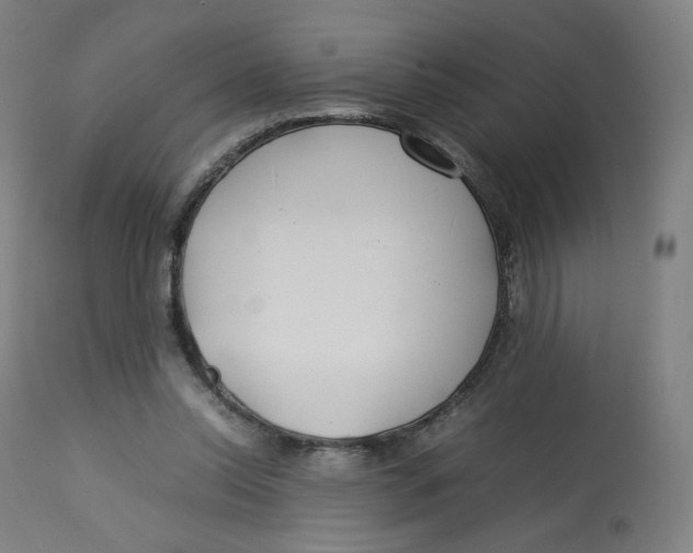 X0000112750350200909171231