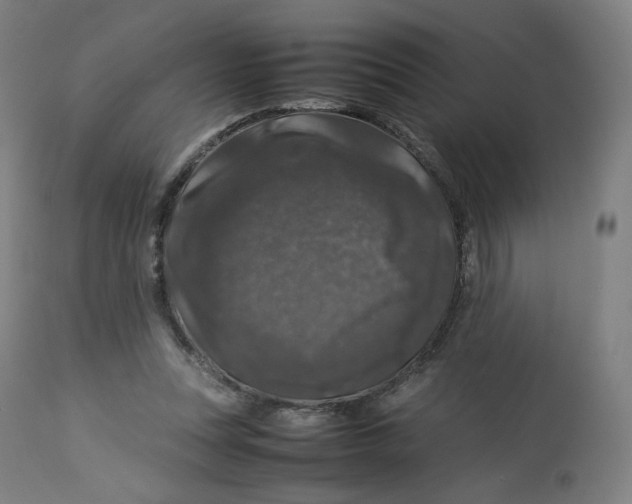 X0000112750351200909171232