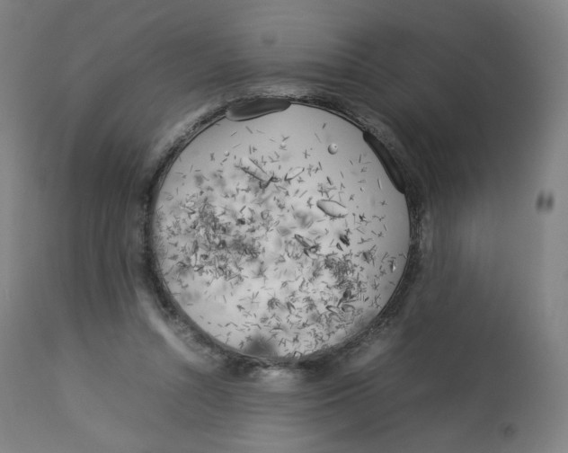 X0000112750352200909171232
