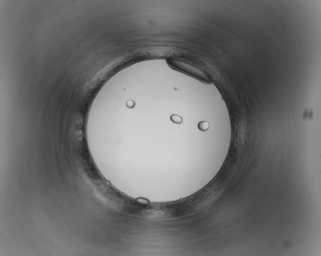 X0000112750356200909171232