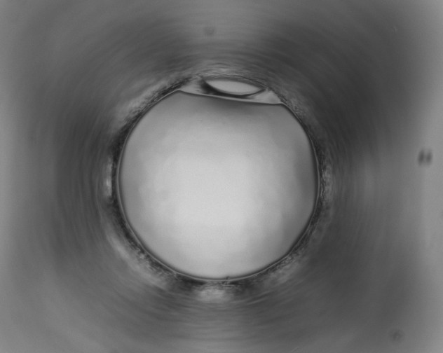 X0000112750358200909171232