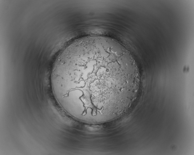 X0000112750359200909171232