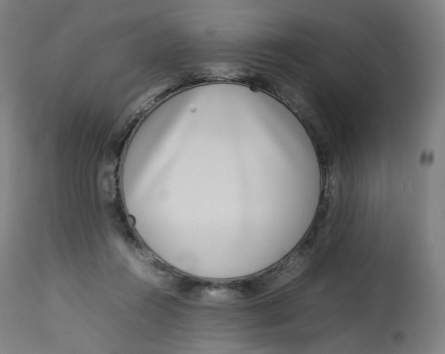 X0000112750360200909171232