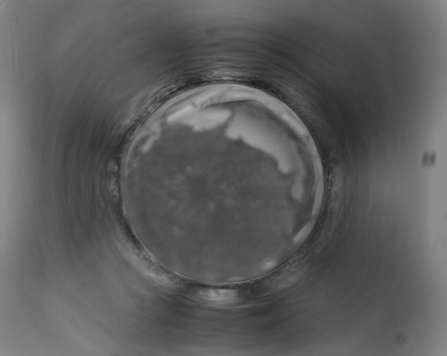 X0000112750361200909171232