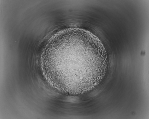 X0000112750363200909171232