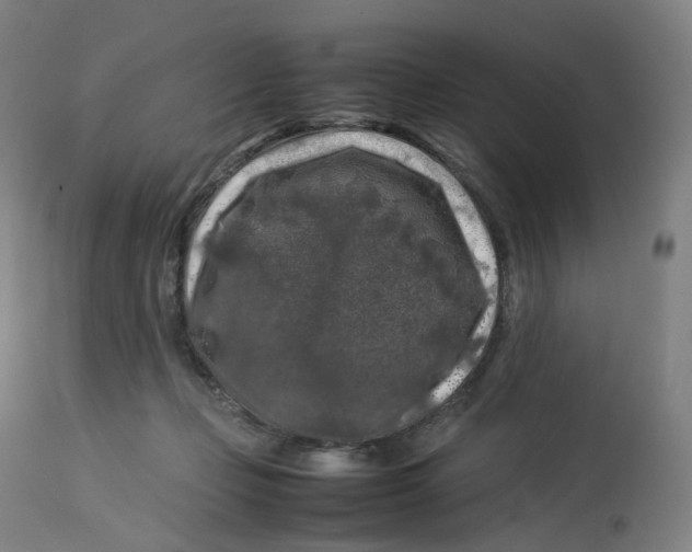 X0000112750365200909171232