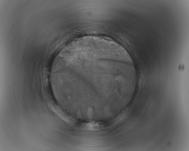 X0000112750366200909171232