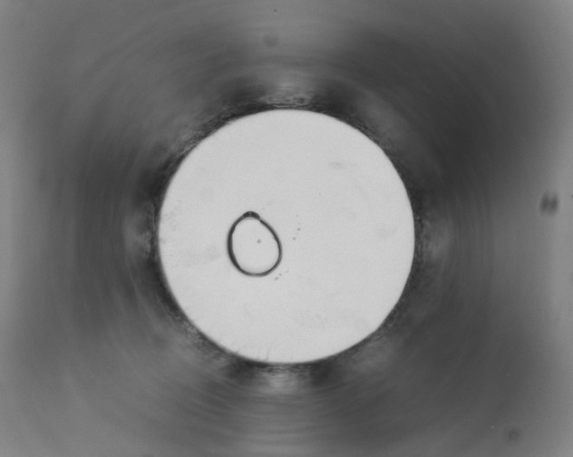 X0000112750370200909171232