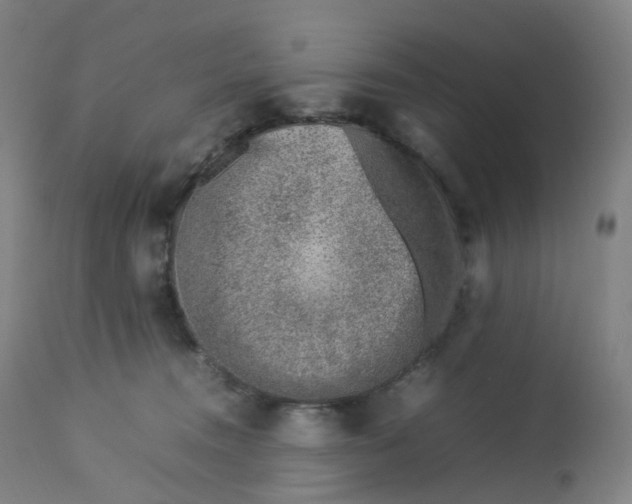 X0000112750372200909171232