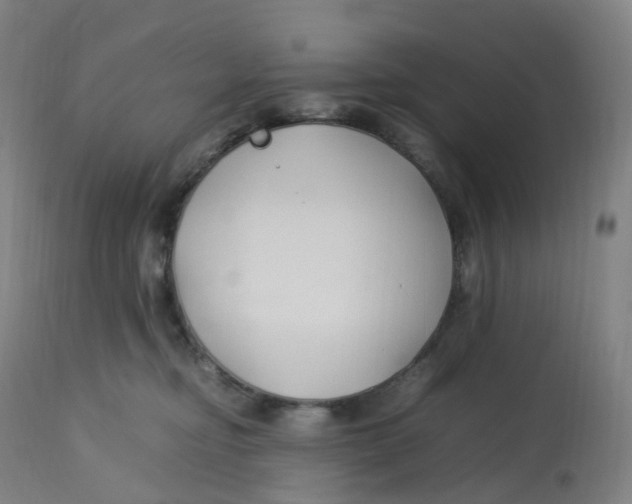 X0000112750374200909171232