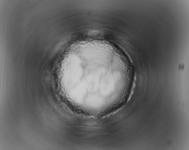 X0000112750375200909171232