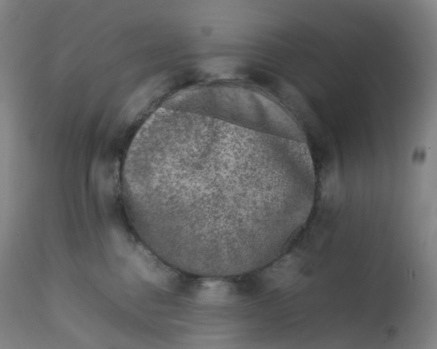 X0000112750376200909171232