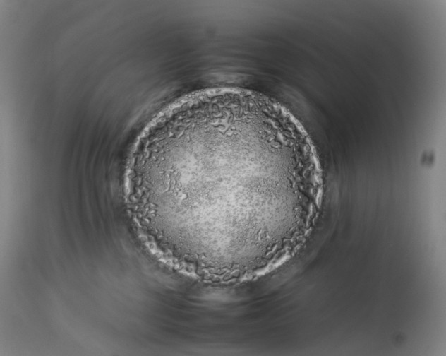 X0000112750377200909171232