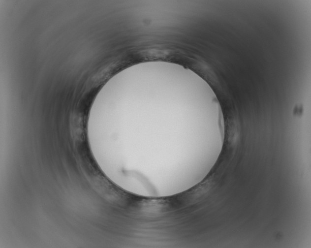 X0000112750378200909171232