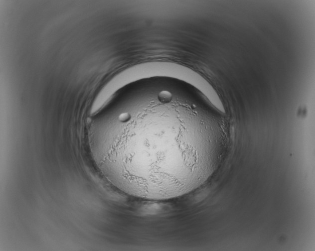 X0000112750379200909171232