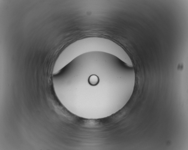 X0000112750380200909171232