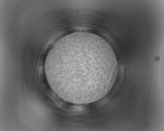 X0000112750381200909171232